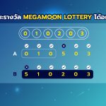 เราจะชนะรางวัล MegaMoon Lottery ได้อย่างไร ?