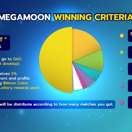 MegaMoon Winning Criteria