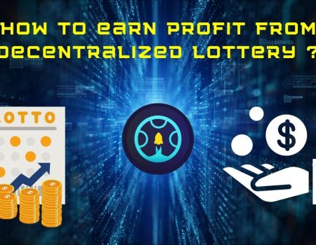 How to earn profit from decentralized lottery ?