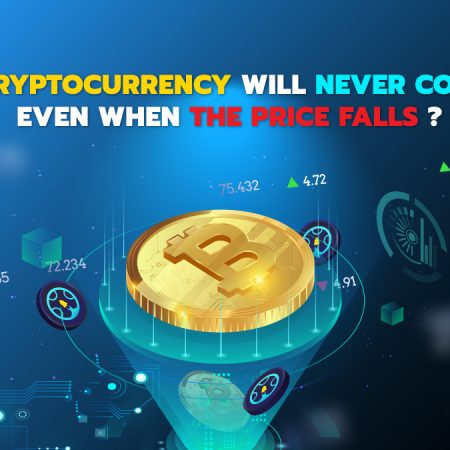 Why cryptocurrency will never collapse even when the price falls ?